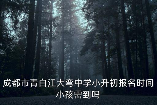 成都市青白江大彎中學小升初報名時間小孩需到嗎