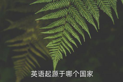 采用英語,大多數人說英語美國無官方語言