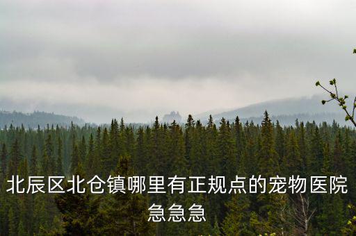 北辰區(qū)北倉鎮(zhèn)哪里有正規(guī)點(diǎn)的寵物醫(yī)院急急急