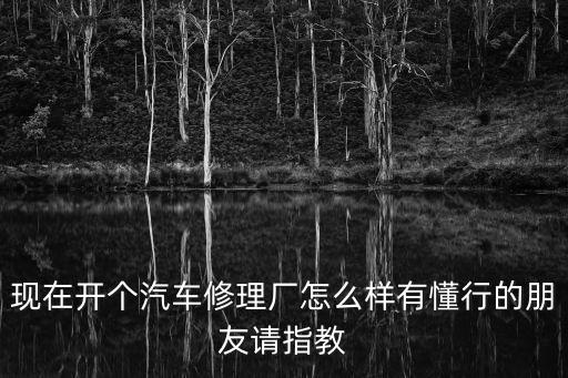 現在開個汽車修理廠怎么樣有懂行的朋友請指教