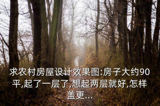 求農(nóng)村房屋設(shè)計效果圖:房子大約90平,起了一層了,想起兩層就好,怎樣蓋更...