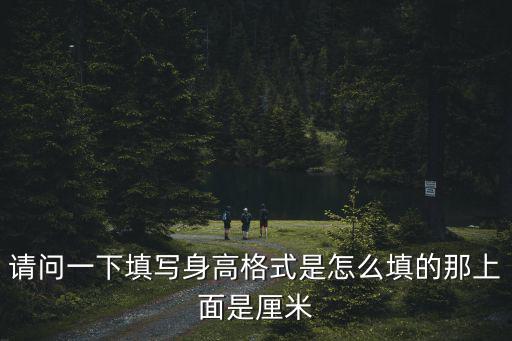 請問一下填寫身高格式是怎么填的那上面是厘米