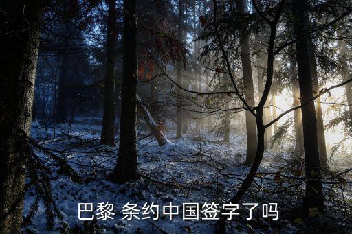  巴黎 條約中國簽字了嗎