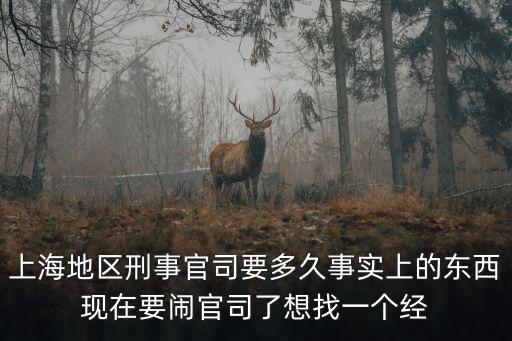 上海地區(qū)刑事官司要多久事實上的東西現在要鬧官司了想找一個經