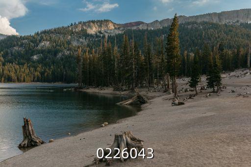 0226043