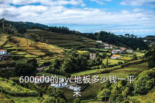 600600的pvc地板多少錢一平米