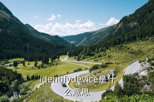  identifydevice是什么意思