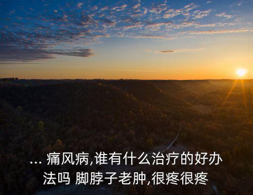 ... 痛風病,誰有什么治療的好辦法嗎 腳脖子老腫,很疼很疼