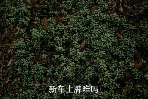 新車上牌難嗎