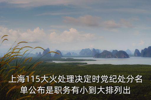上海115大火處理決定時黨紀處分名單公布是職務有小到大排列出