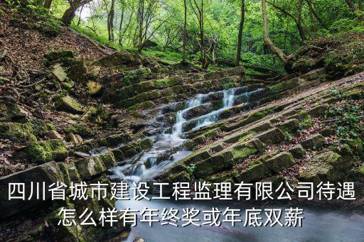 四川省城市建設工程監理有限公司待遇怎么樣有年終獎或年底雙薪