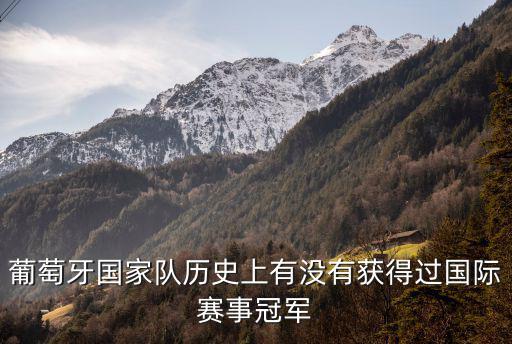 葡萄牙國家隊歷史上有沒有獲得過國際賽事冠軍