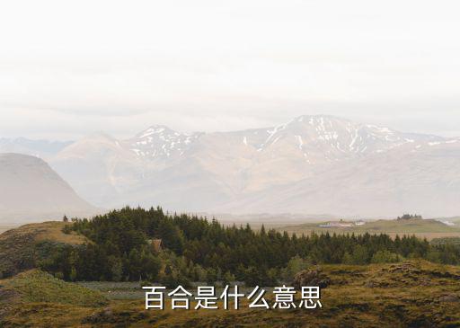 百合英文,從荷蘭到日本我國春節的春花
