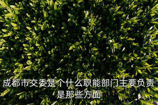 成都市交委是個什么職能部門主要負責是那些方面