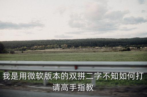 我是用微軟版本的雙拼二字不知如何打請高手指教