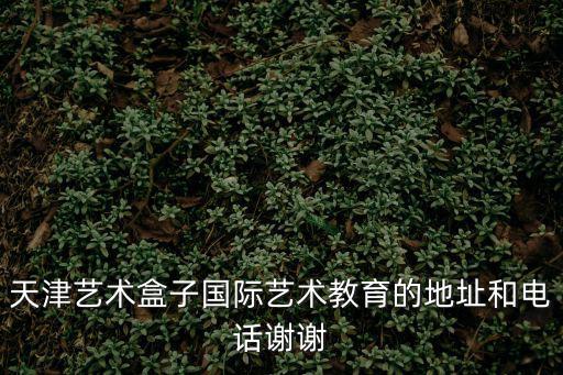 天津藝術(shù)盒子國(guó)際藝術(shù)教育的地址和電話謝謝