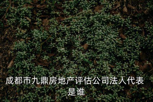 成都市九鼎房地產評估公司法人代表 是誰