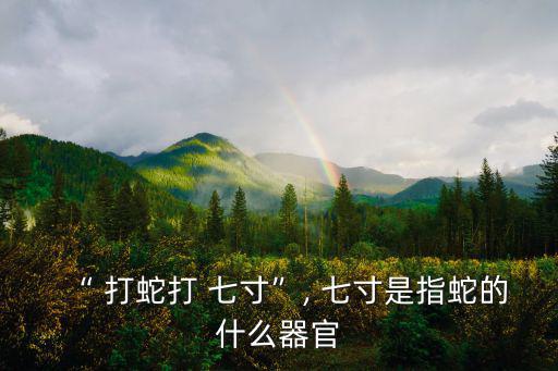 “ 打蛇打 七寸”, 七寸是指蛇的什么器官
