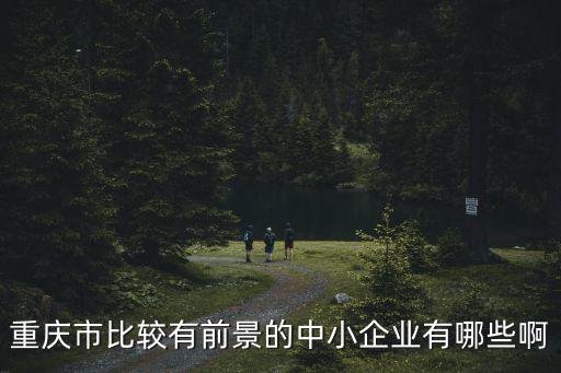 重慶市比較有前景的中小企業有哪些啊