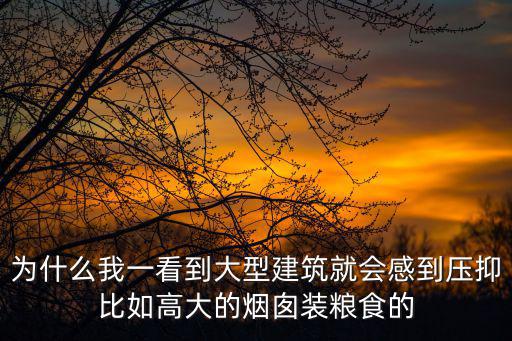 為什么我一看到大型建筑就會(huì)感到壓抑比如高大的煙囪裝糧食的