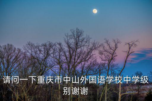 請問一下重慶市中山外國語學校中學級別謝謝