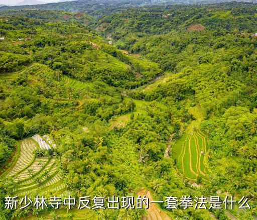 新少林寺中反復出現的一套拳法是什么