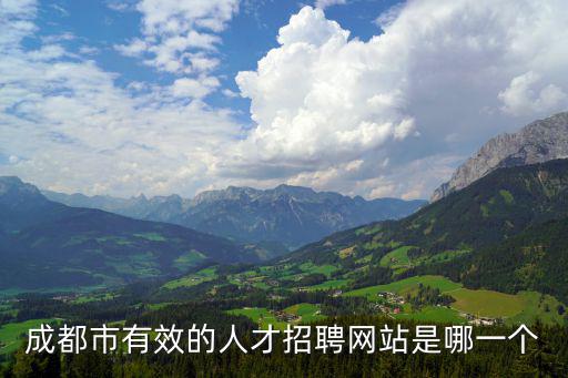 成都市有效的人才招聘網(wǎng)站是哪一個(gè)