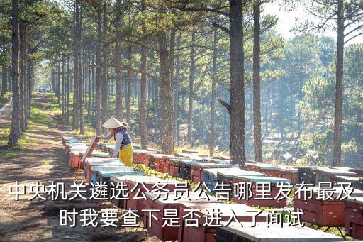 中央機關遴選公務員公告哪里發布最及時我要查下是否進入了面試