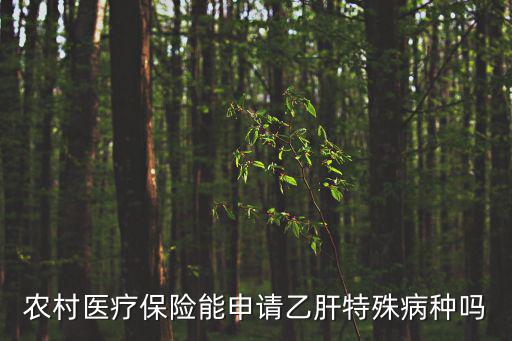 農村醫療保險能申請乙肝特殊病種嗎
