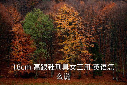 18cm 高跟鞋刑具女王用 英語怎么說