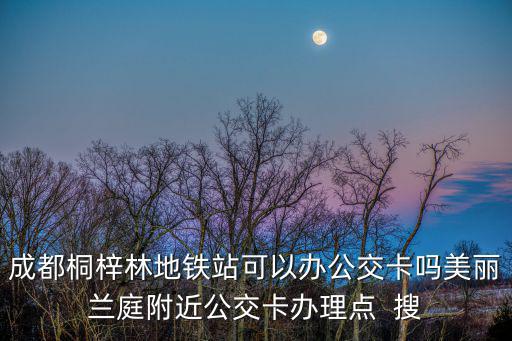 成都市公交卡地鐵站可以辦不，成都桐梓林地鐵站可以辦公交卡嗎美麗蘭庭附近公交卡辦理點  搜