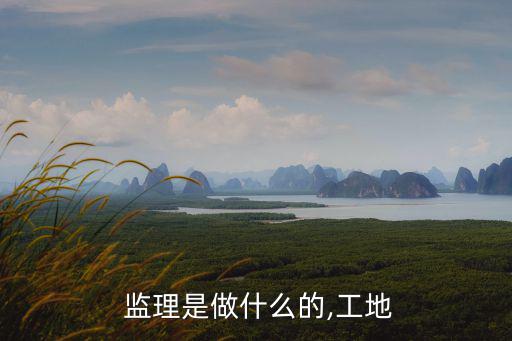 監理是什么,監理工程師主要任務包括三控制、兩管理、一協調