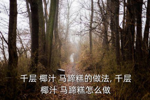  千層 椰汁 馬蹄糕的做法, 千層 椰汁 馬蹄糕怎么做