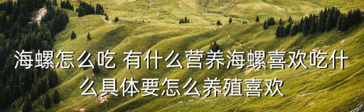 海螺怎么吃 有什么營養海螺喜歡吃什么具體要怎么養殖喜歡
