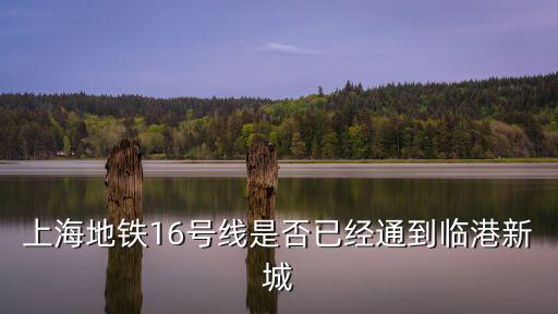 上海到臨港怎么坐地鐵，上海地鐵16號線是否已經通到臨港新城