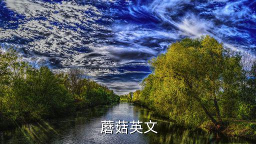  蘑菇英文