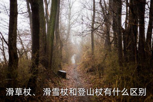 滑草杖、 滑雪杖和登山杖有什么區別