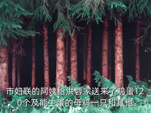 成都市婦聯陳文菊，請問我是否可告該園侵權謝謝
