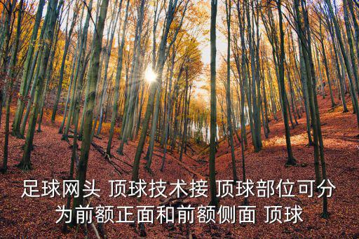 足球網頭 頂球技術接 頂球部位可分為前額正面和前額側面 頂球
