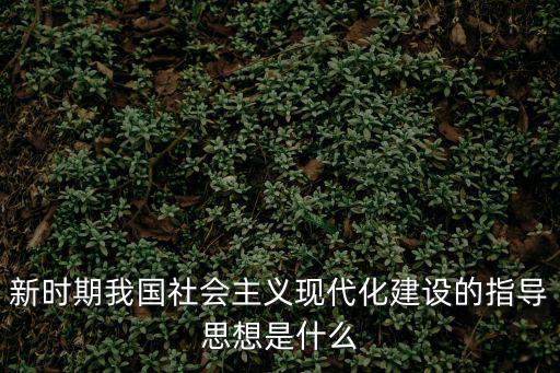 新時期我國社會主義現代化建設的指導思想是什么