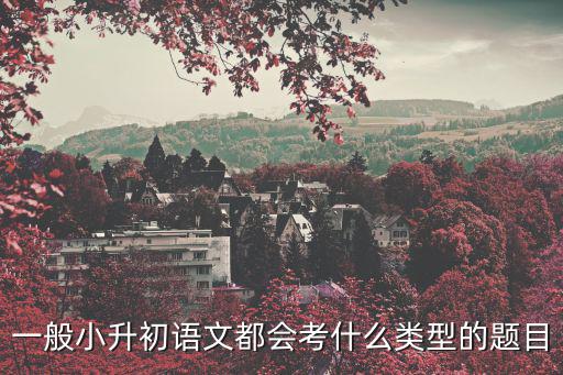 一般小升初語文都會考什么類型的題目