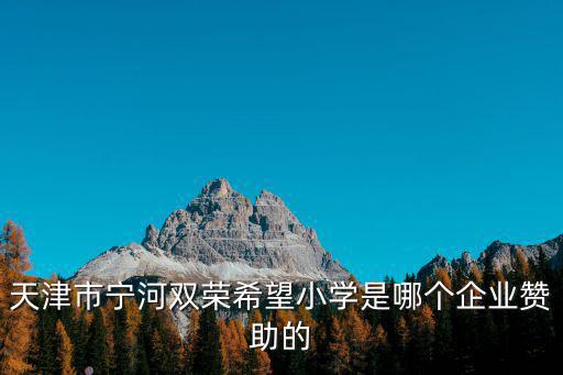 天津市寧河雙榮希望小學是哪個企業贊助的