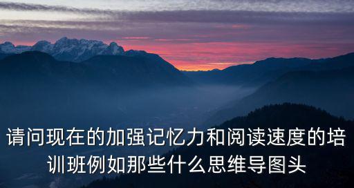 請問現在的加強記憶力和閱讀速度的培訓班例如那些什么思維導圖頭