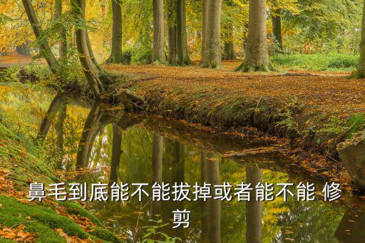  鼻毛到底能不能拔掉或者能不能 修剪