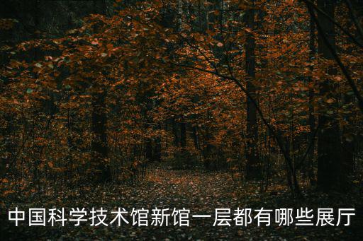 中國科學技術館新館一層都有哪些展廳