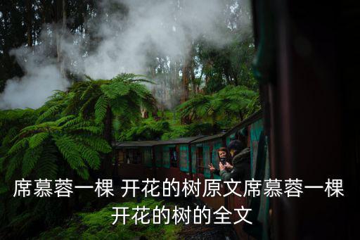 一顆開花的樹,少女對愛情的渴望如何讓她在最美的時刻遇到你?