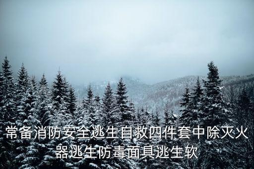 常備消防安全逃生自救四件套中除滅火器逃生防毒面具逃生軟