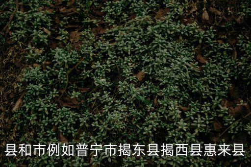 縣和市例如普寧市揭東縣揭西縣惠來縣