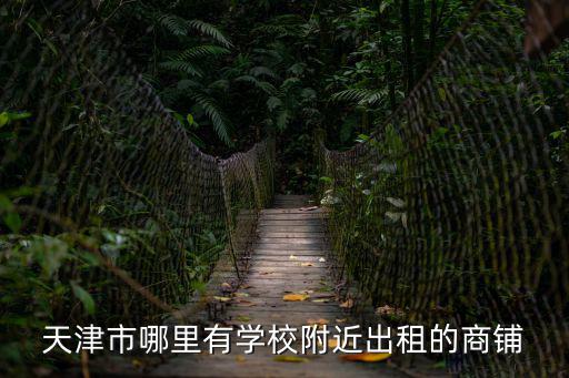 天津市哪里有學(xué)校附近出租的商鋪
