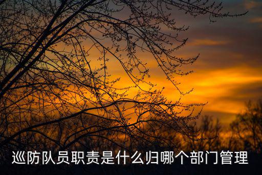 巡防隊員，巡防隊員職責(zé)
